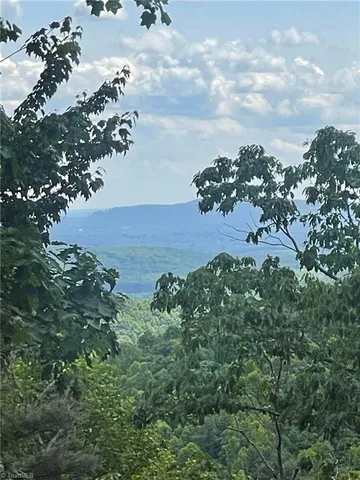 $87,900 | Lot 15 Dogwood Road, Moravian Falls, NC 28654