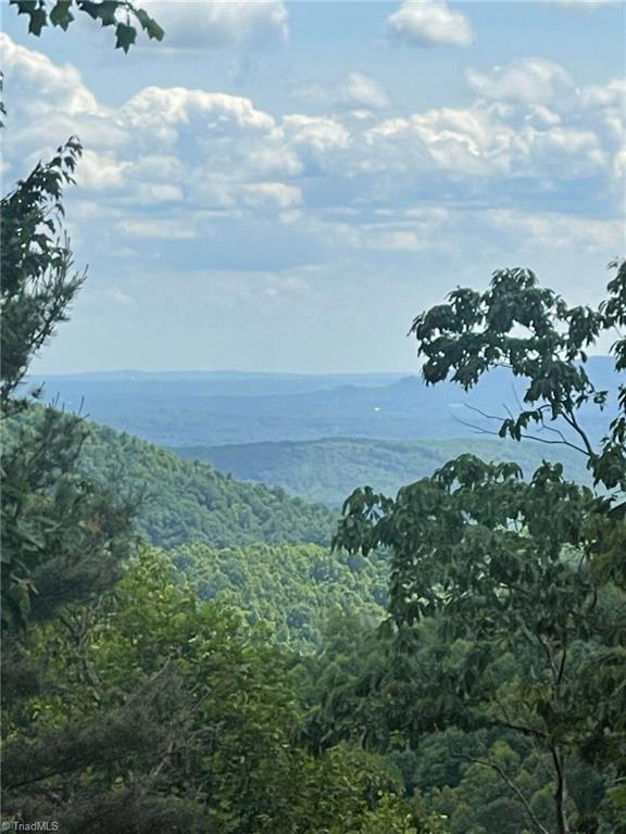 Lot 15 Dogwood Road Moravian Falls, NC 28654 - Photo 28 of 41