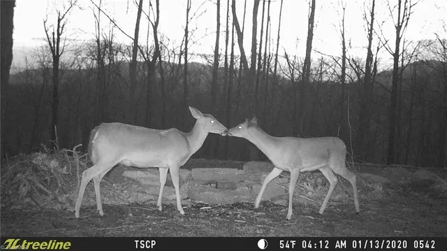 $87,900 | Lot 15 Dogwood Road, Moravian Falls, NC 28654