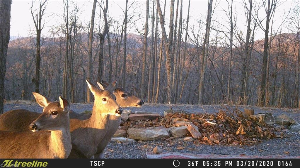 Lot 15 Dogwood Road Moravian Falls, NC 28654 - Photo 40 of 41