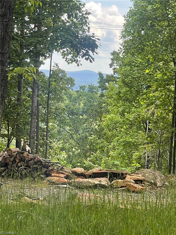 Lot 15 Dogwood Road Moravian Falls, NC 28654 - Photo 4 of 41