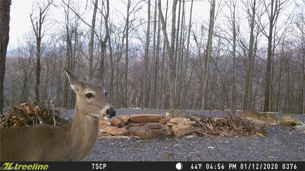 Lot 15 Dogwood Road Moravian Falls, NC 28654 - Photo 41 of 41