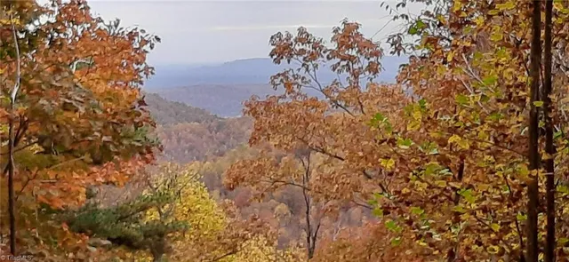 $87,900 | Lot 15 Dogwood Road, Moravian Falls, NC 28654