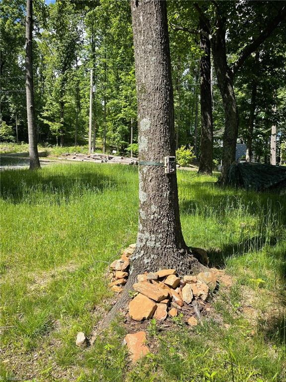 Lot 15 Dogwood Road Moravian Falls, NC 28654 - Photo 8 of 41