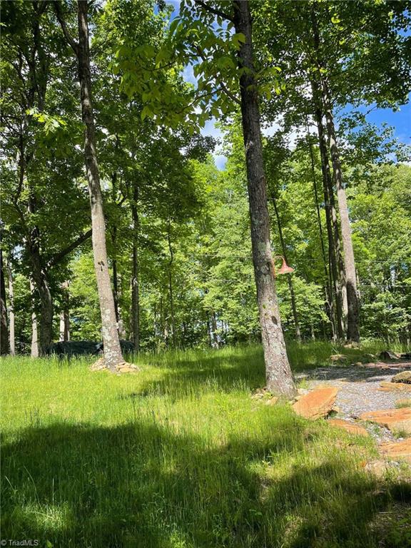 Lot 15 Dogwood Road Moravian Falls, NC 28654 - Photo 9 of 41