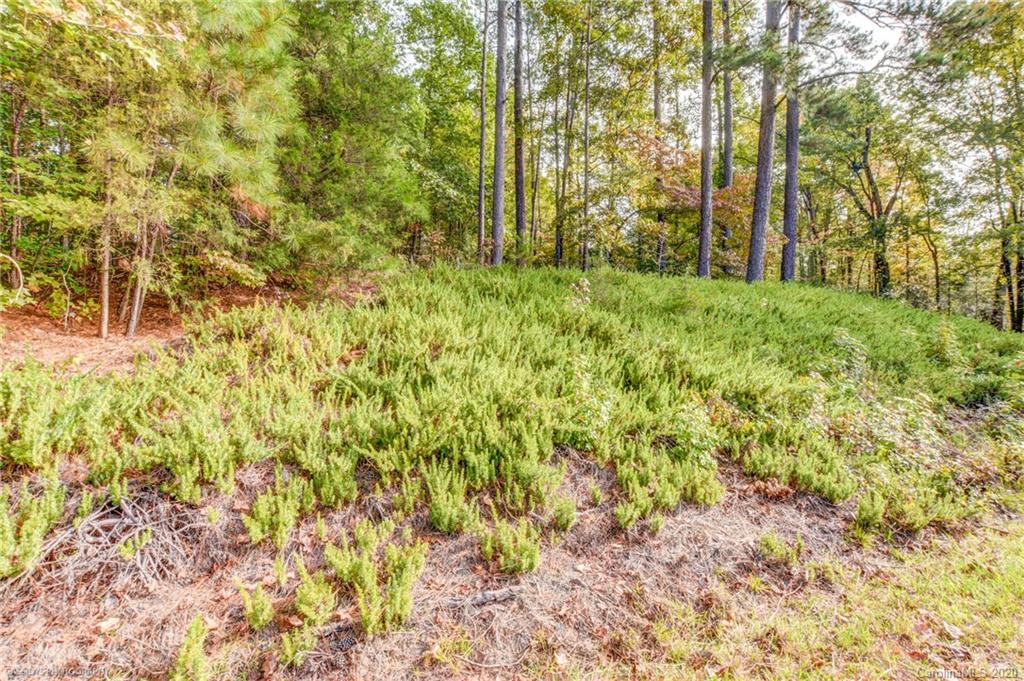 948 Pineview Lakes Road Chester, SC 29706 - Photo 35 of 40 Gallery Image 35