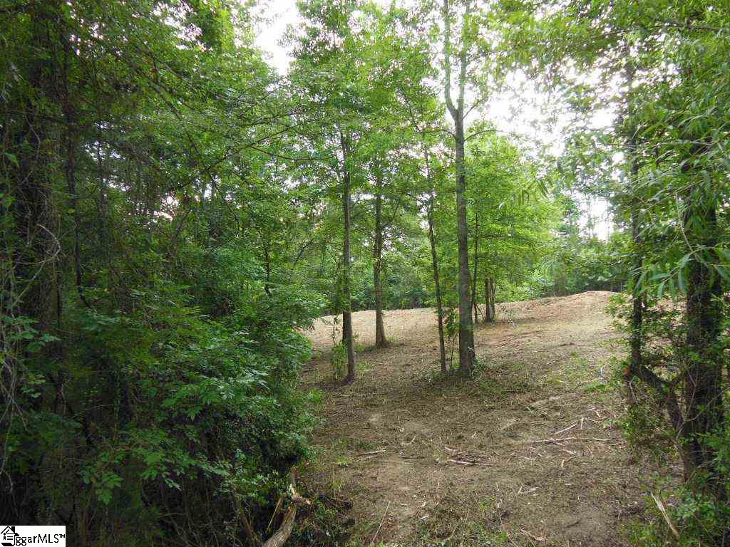 Karla Court Fountain Inn, SC 29644 - Photo 8 of 14