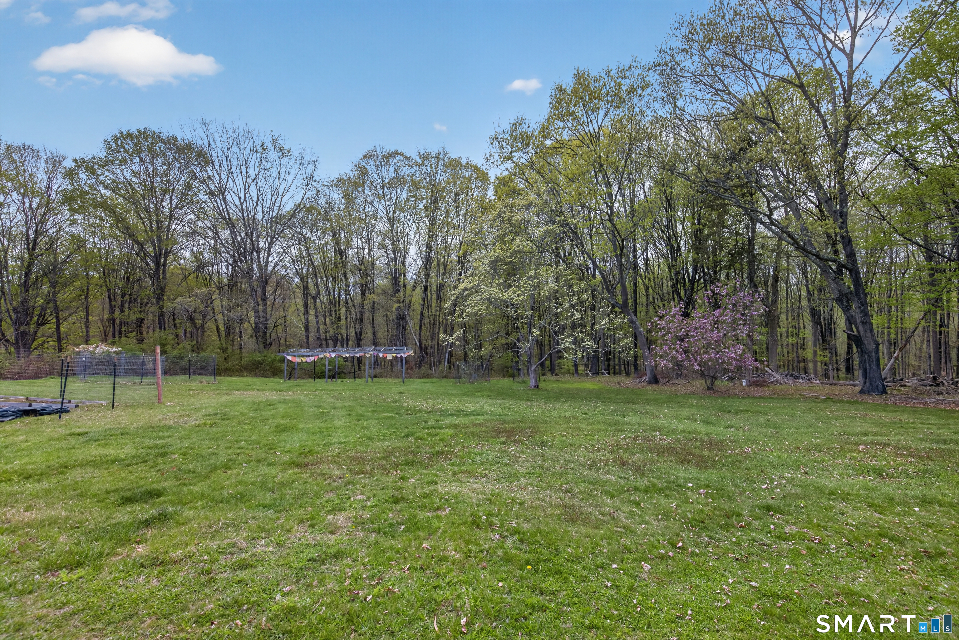 95 Chestnut Hill Road Killingworth, CT 06419 - Photo 40 of 40 Beautiful back yard with 12 fruit trees-including pear, cherry, peach, apple and mulberry.
