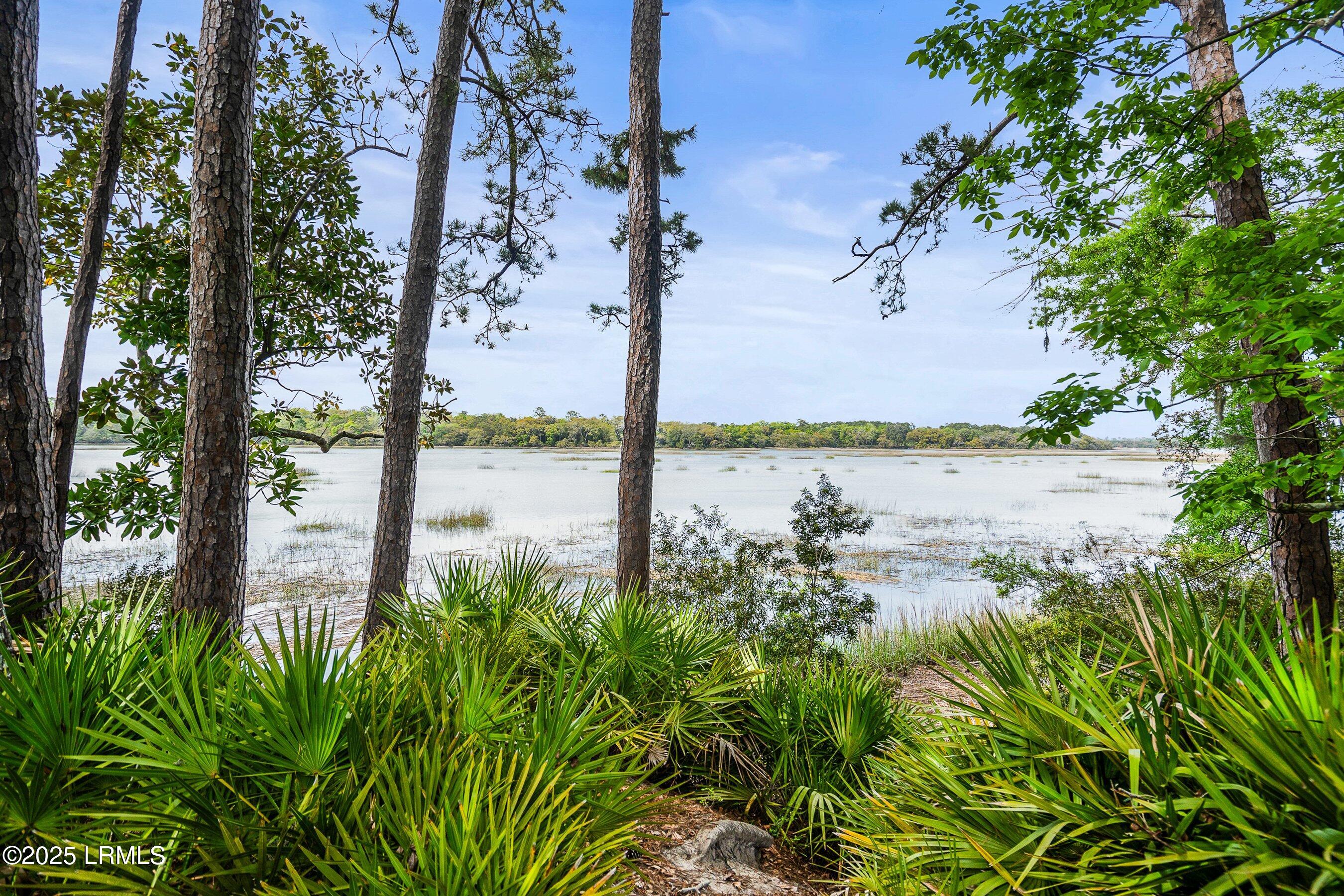 33 Ridge Road Beaufort, SC 29907 - Photo 6 of 100 DSC00675-30-6-SMALL