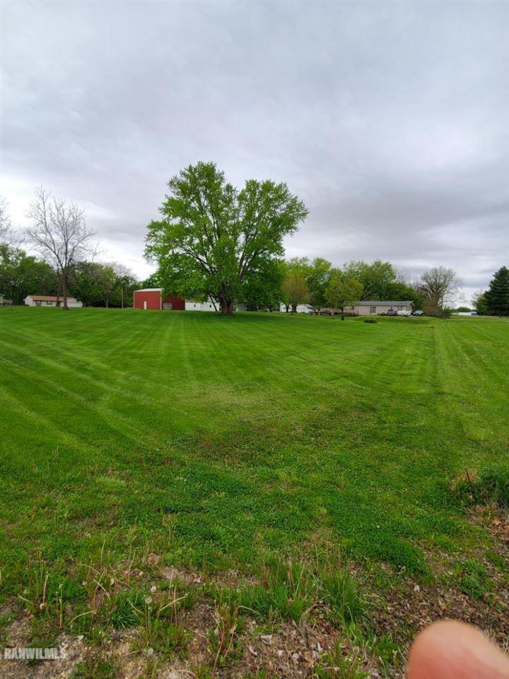 302 Mulvain Street Durand, IL 61024 - Photo 2 of 2 a backyard of a house with lots of green space and mountain view in back