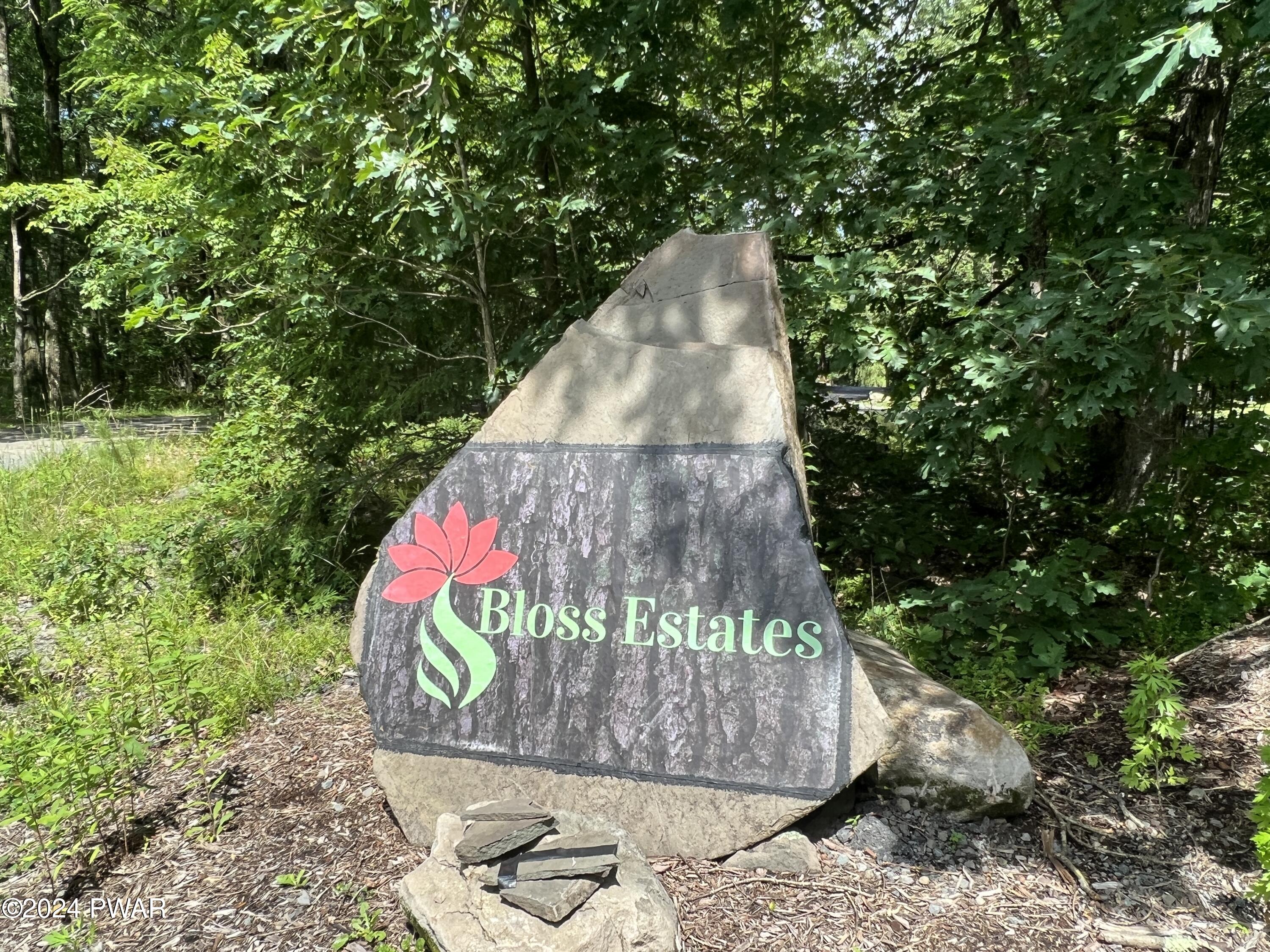Bloss Road Canadensis, PA 18325 - Photo 21 of 21 IMG_5528 2