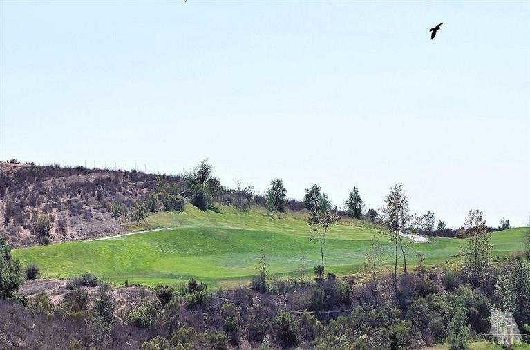 12428 Palmer Drive Moorpark, CA 93021 - Photo 28 of 42 a view of a green field with trees in the background