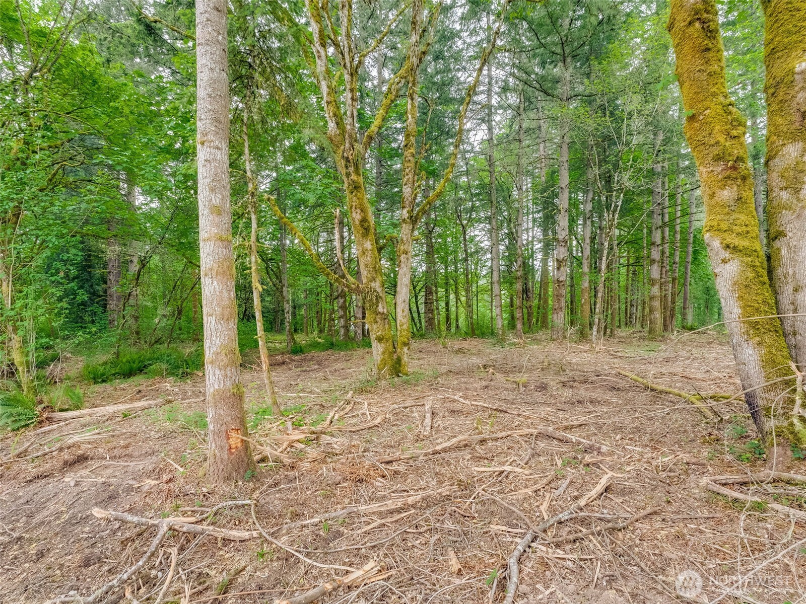 0 Northwest 314th Circle, Unit 50 Ridgefield, WA 98642 - Photo 13 of 21 Gallery Image 13