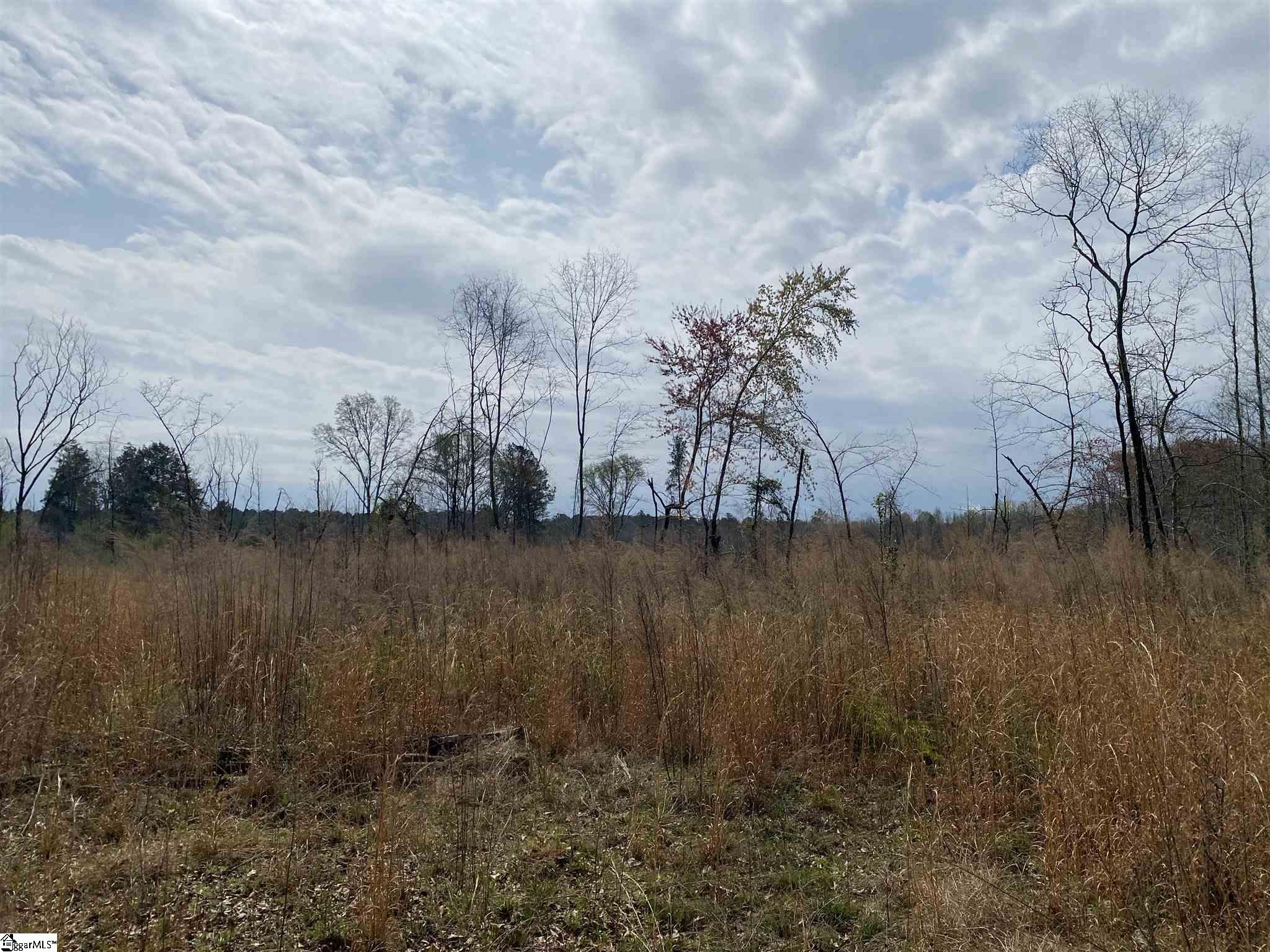 0 Erwin Mill Road Honea Path, SC 29654 - Photo 1 of 8 Gallery Image 1