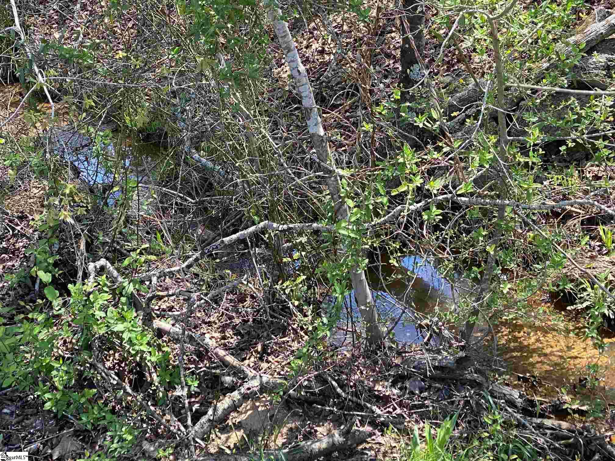 0 Erwin Mill Road Honea Path, SC 29654 - Photo 4 of 8 Gallery Image 4