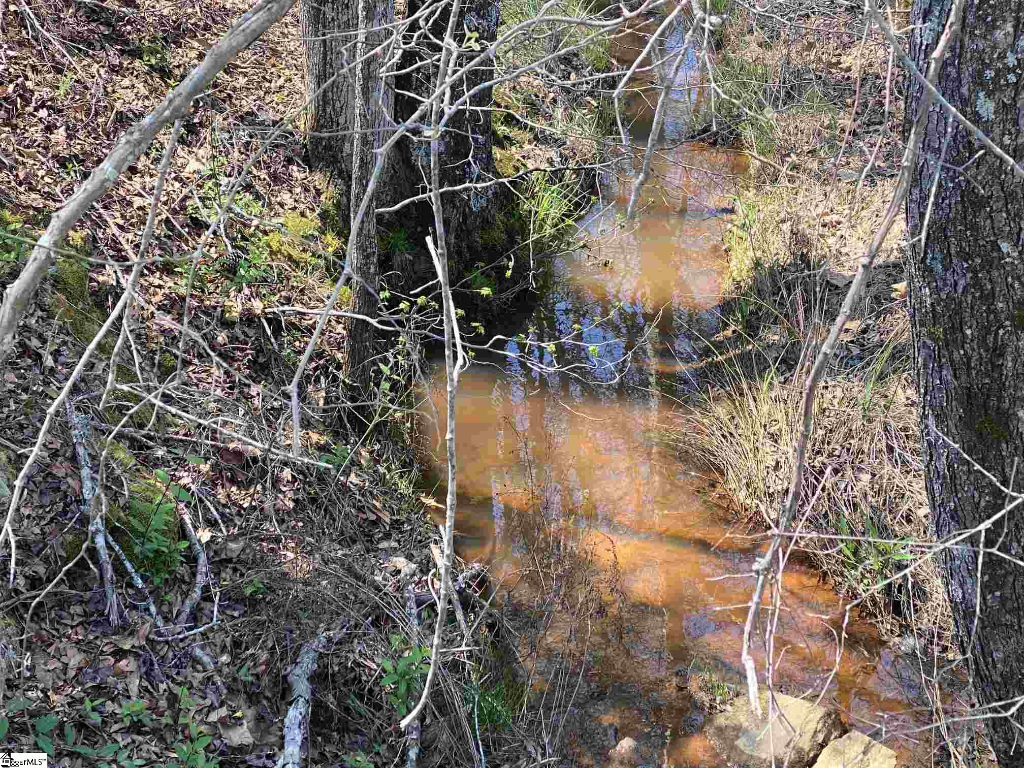 0 Erwin Mill Road Honea Path, SC 29654 - Photo 5 of 8 Gallery Image 5