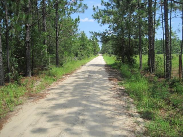 0 Cedar Springs Farm Road Holt, FL 32564 - Photo 1 of 6 Gallery Image 1