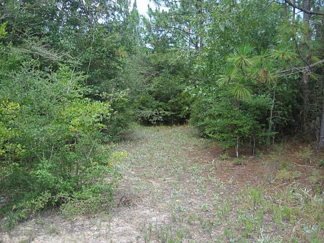 0 Cedar Springs Farm Road Holt, FL 32564 - Photo 2 of 6 Gallery Image 2