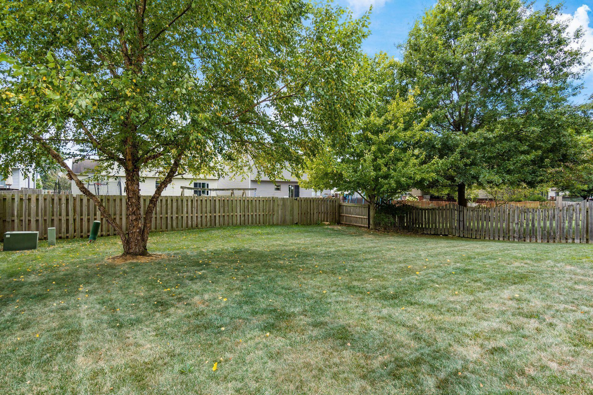 313 Holly Grove Road Lewis Center, OH 43035 - Photo 24 of 28 Large Backyard