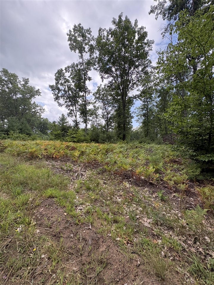 5 5 Mile Road Howard City, MI 49329 - Photo 88 of 99 Gallery Image 88