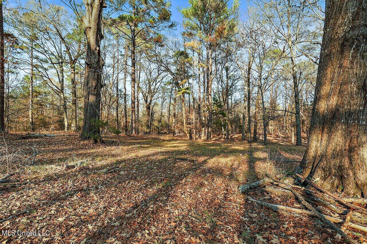 1150 Airport Road Raymond, MS 39154 - Photo 37 of 37 37-1150 Airport Rd