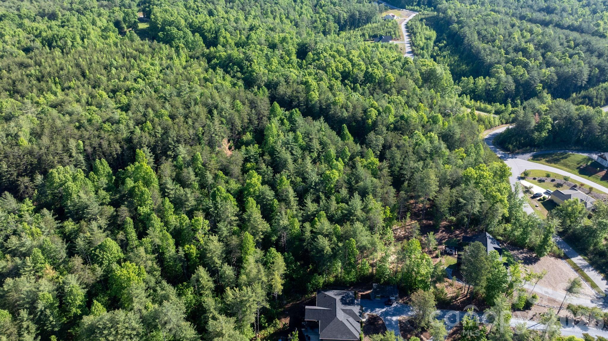 3030 Channel View Cove Morganton, NC 28655 - Photo 12 of 25