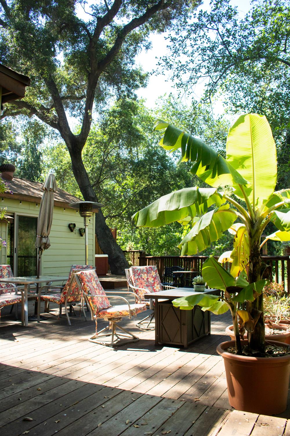 15667 Ojai Road Santa Paula, CA 93060 - Photo 2 of 37