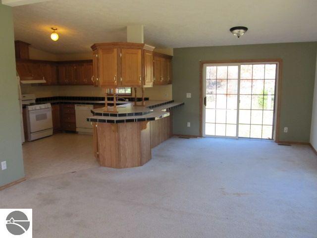 1916 River Road Frankfort, MI 49635 - Photo 4 of 14 1738972-3.JPG