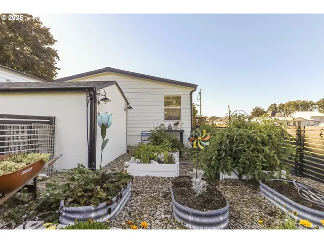 a view of a backyard