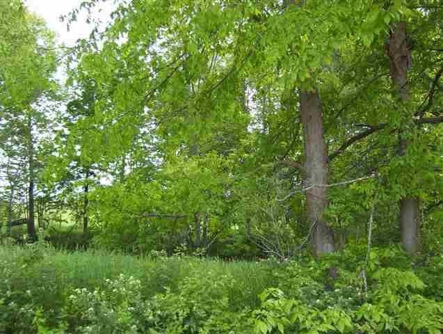 Xxx Maple Ridge Road Sterling, MI 48659 - Photo 2 of 6 Gallery Image 2