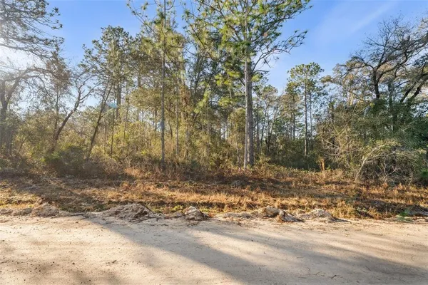 a view of a yard with a tree