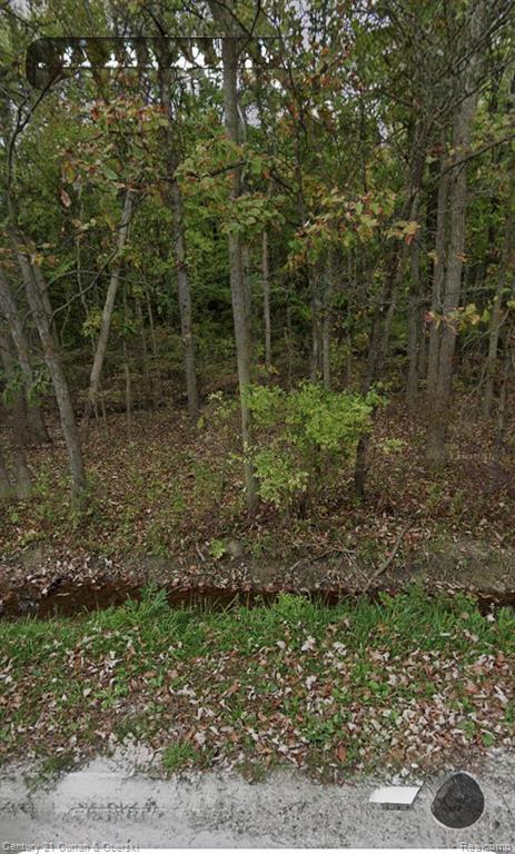 24661 28 Mile Road Ray, MI 48096 - Photo 1 of 1