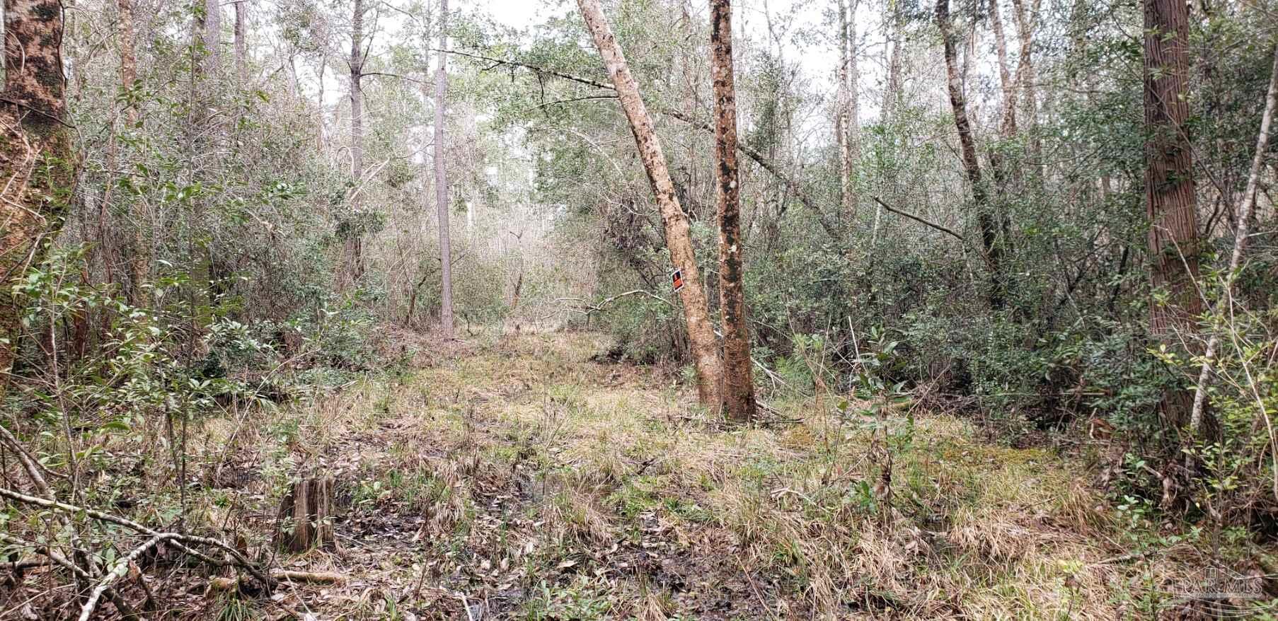Lot 39 Arbor Ridge Road Pace, FL 32571 - Photo 1 of 26