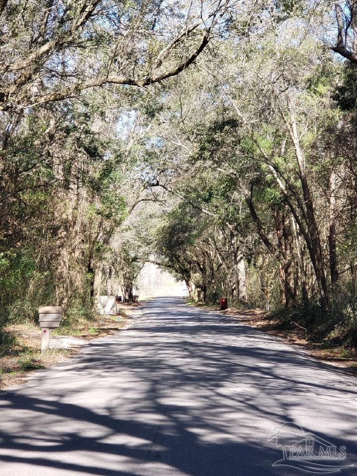 Lot 39 Arbor Ridge Road Pace, FL 32571 - Photo 2 of 26 TIDWELL RD