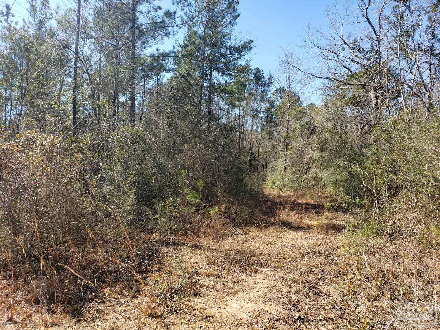 Lot 39 Arbor Ridge Road Pace, FL 32571 - Photo 11 of 26