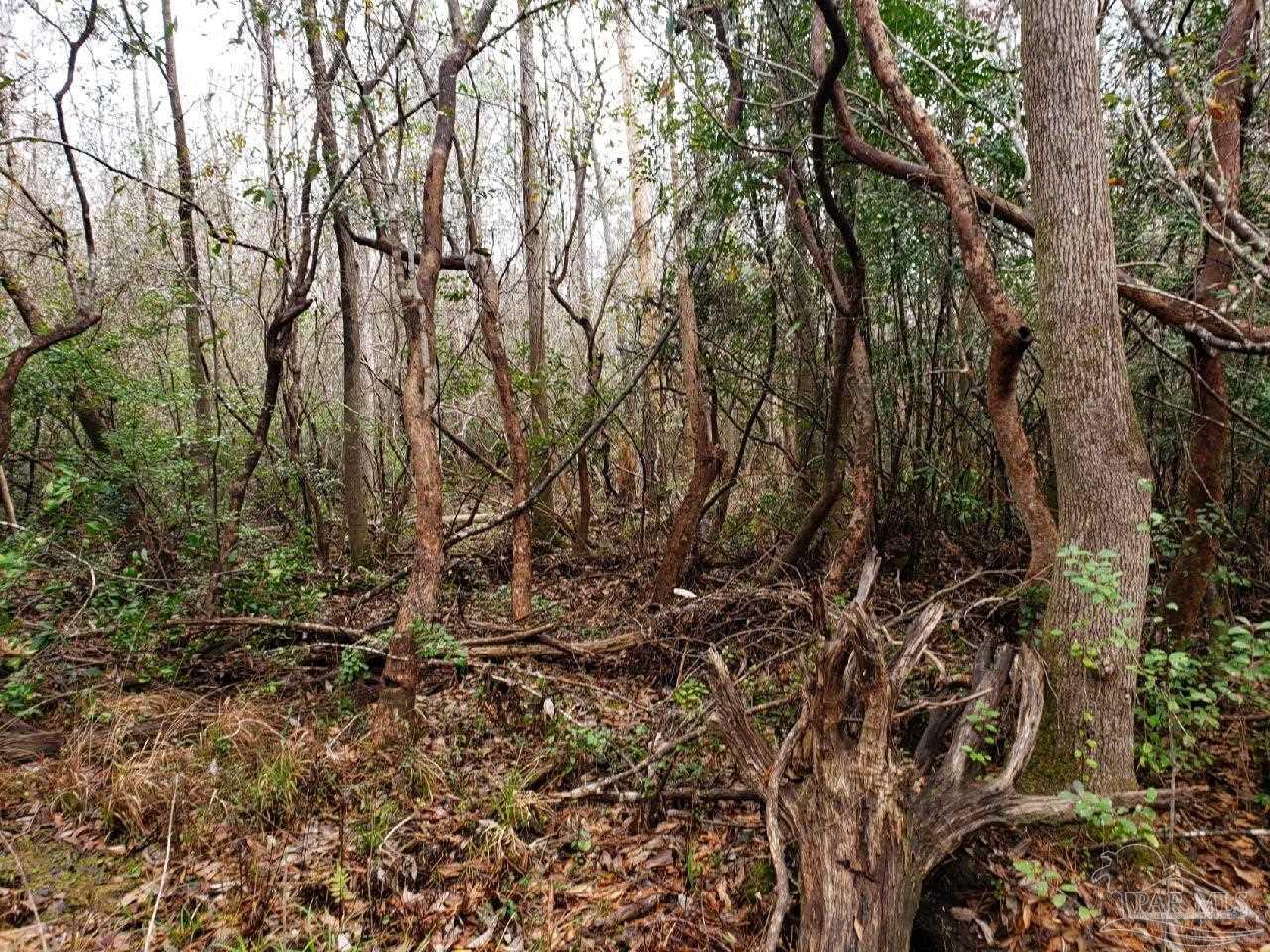 Lot 39 Arbor Ridge Road Pace, FL 32571 - Photo 13 of 26