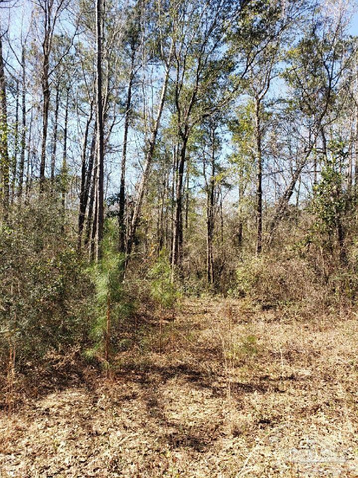 Lot 39 Arbor Ridge Road Pace, FL 32571 - Photo 14 of 26