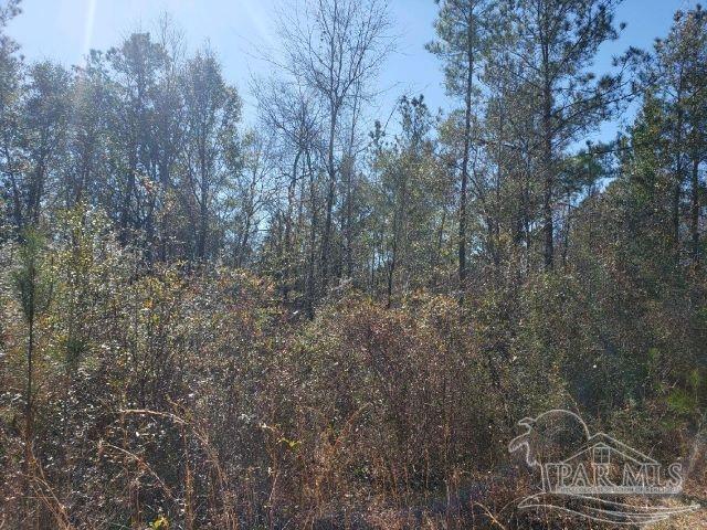Lot 39 Arbor Ridge Road Pace, FL 32571 - Photo 15 of 26
