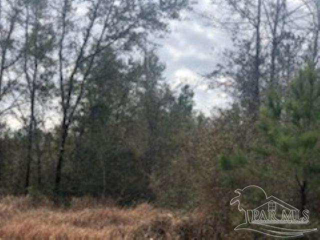 Lot 39 Arbor Ridge Road Pace, FL 32571 - Photo 16 of 26
