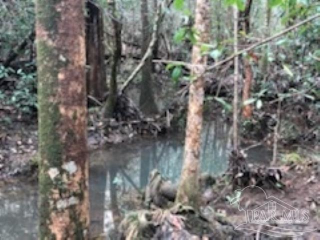 Lot 39 Arbor Ridge Road Pace, FL 32571 - Photo 18 of 26 CREEK