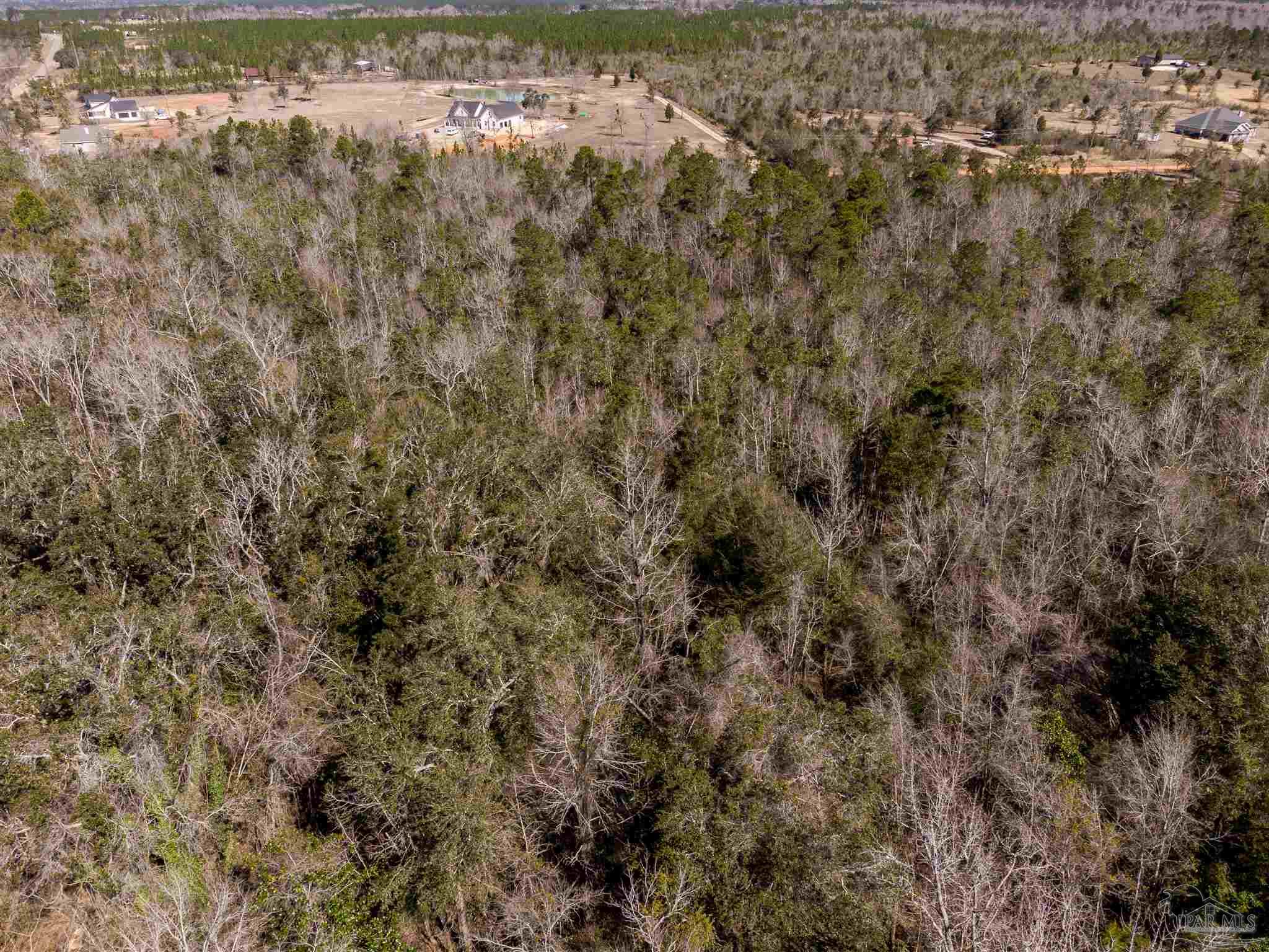 Lot 39 Arbor Ridge Road Pace, FL 32571 - Photo 23 of 26