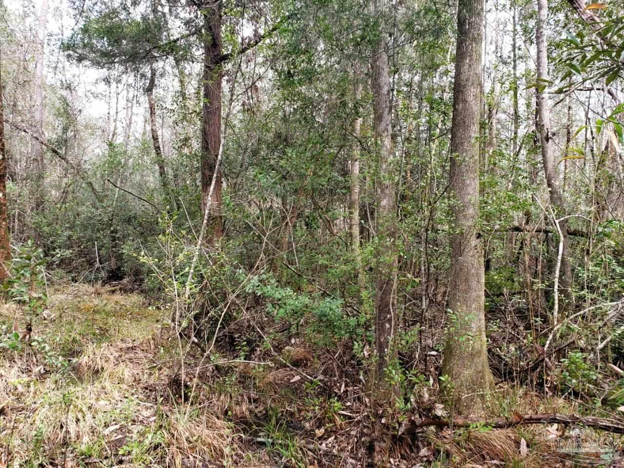 Lot 39 Arbor Ridge Road Pace, FL 32571 - Photo 5 of 26