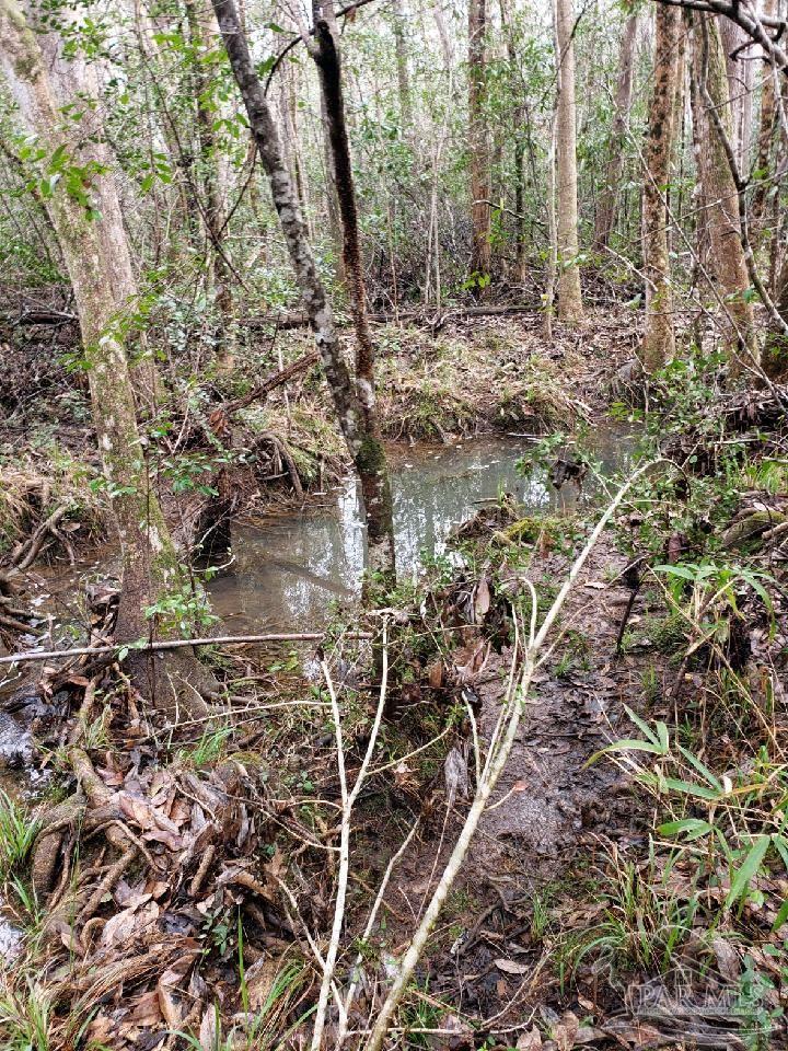 Lot 39 Arbor Ridge Road Pace, FL 32571 - Photo 6 of 26 Creek