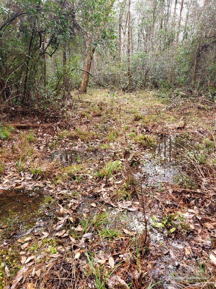 Lot 39 Arbor Ridge Road Pace, FL 32571 - Photo 8 of 26