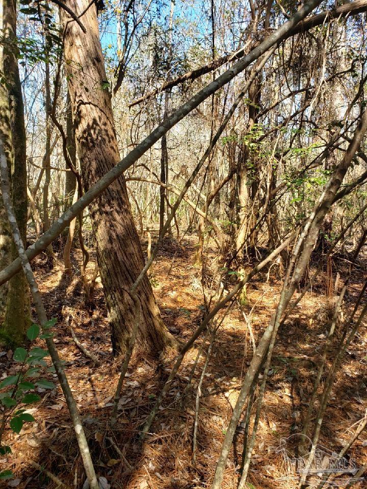 Lot 39 Arbor Ridge Road Pace, FL 32571 - Photo 10 of 26