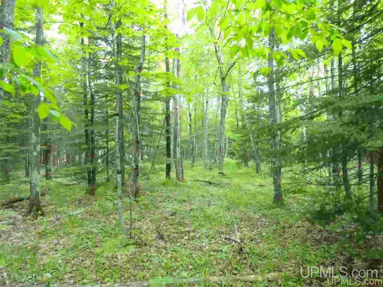 80-acres Dog Patch Road Lanse, MI 49946 - Photo 44 of 50 Gallery Image 44