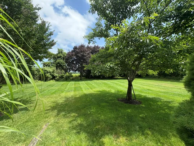 a view of a backyard with green space