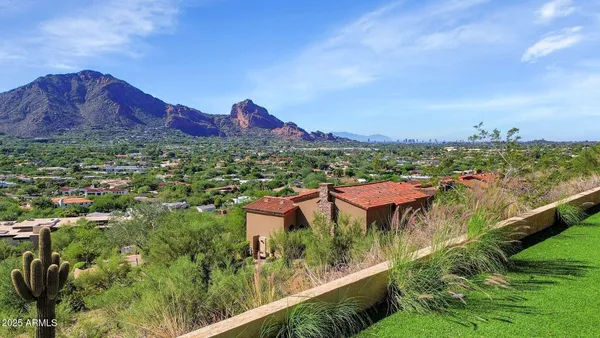 a view of a city with a garden