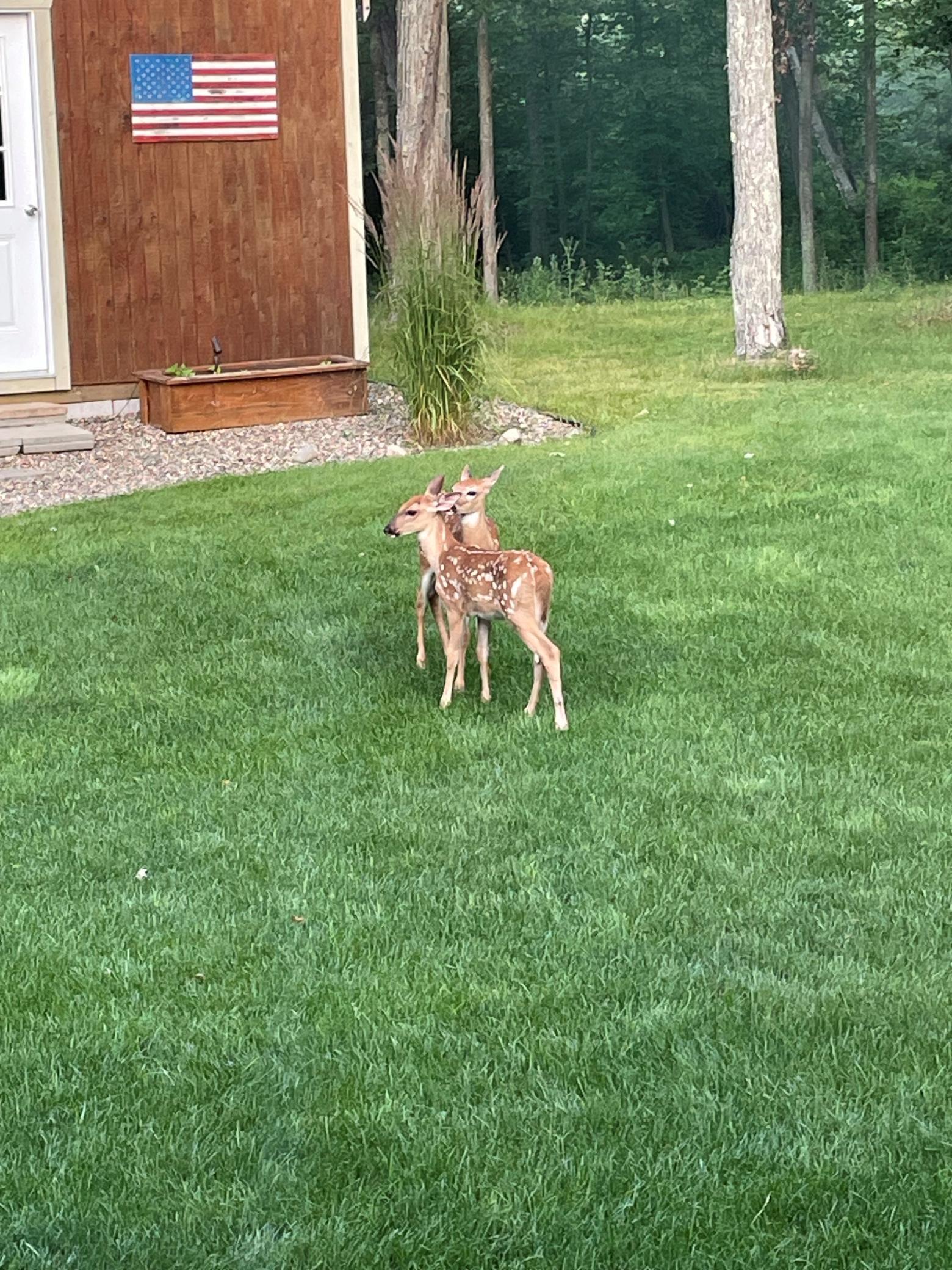 29609 Delaware Trail Breezy Point, MN 56472 - Photo 49 of 53