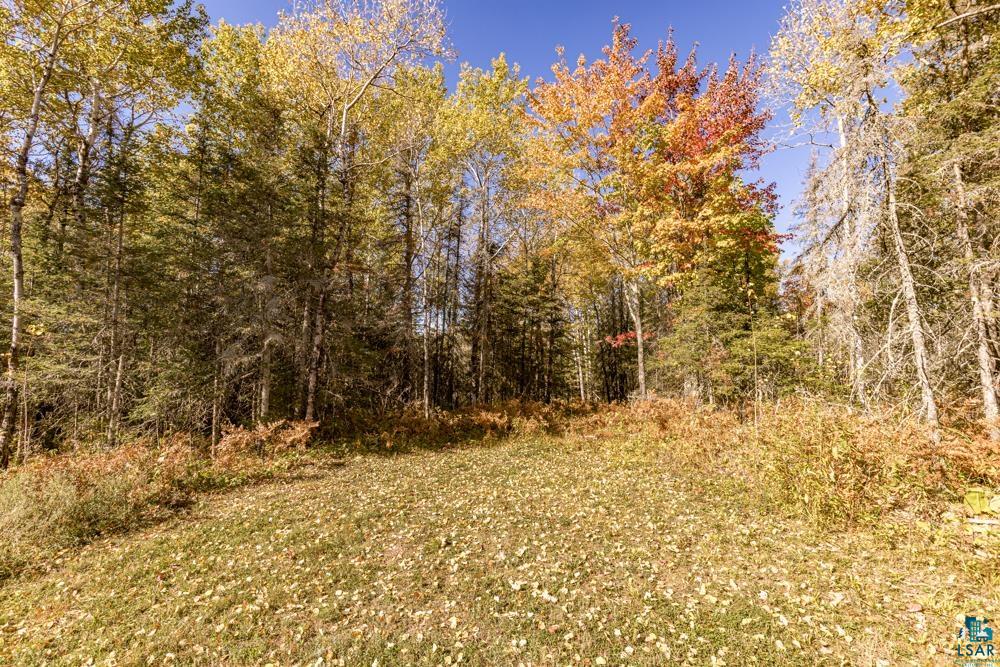 Two Harbors Mn 55804 Road Two Harbors, MN 55616 - Photo 4 of 6 View of local wilderness